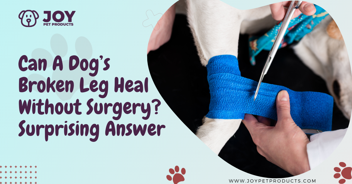 can a dogs broken leg heal without surgery