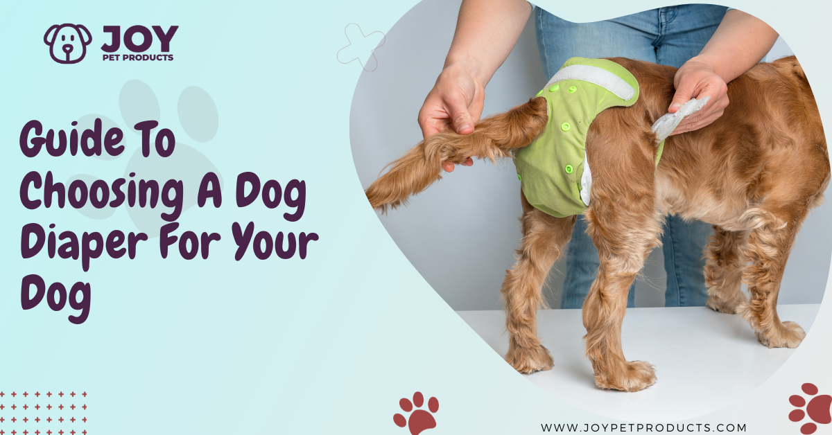 dog diapers