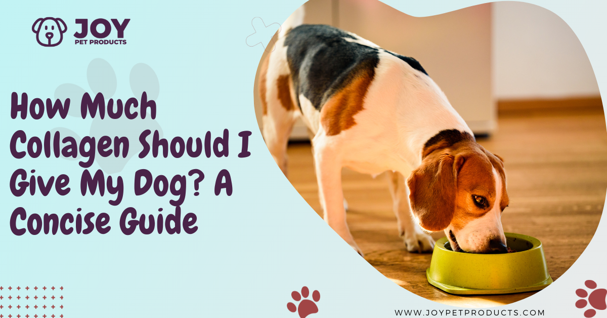 how much collagen for dogs