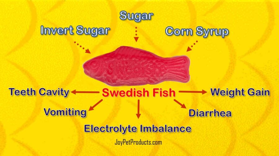 Can Dogs Eat Swedish Fish? The Not-So-Sweet Truth | JoyPetProducts