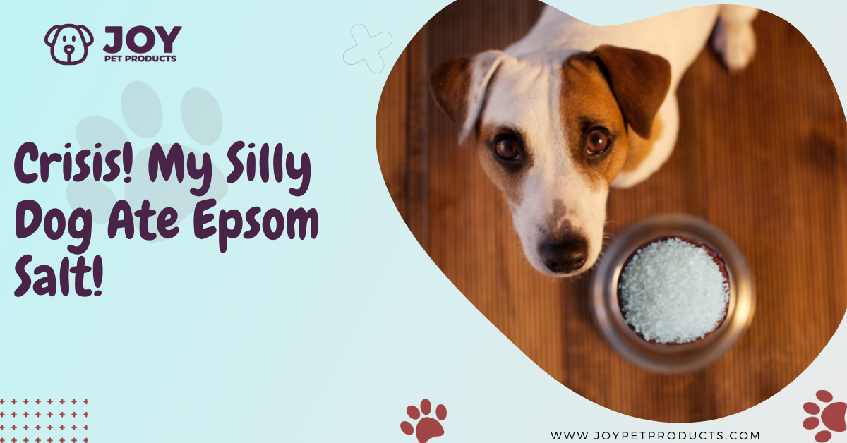 dog ate epsom salts