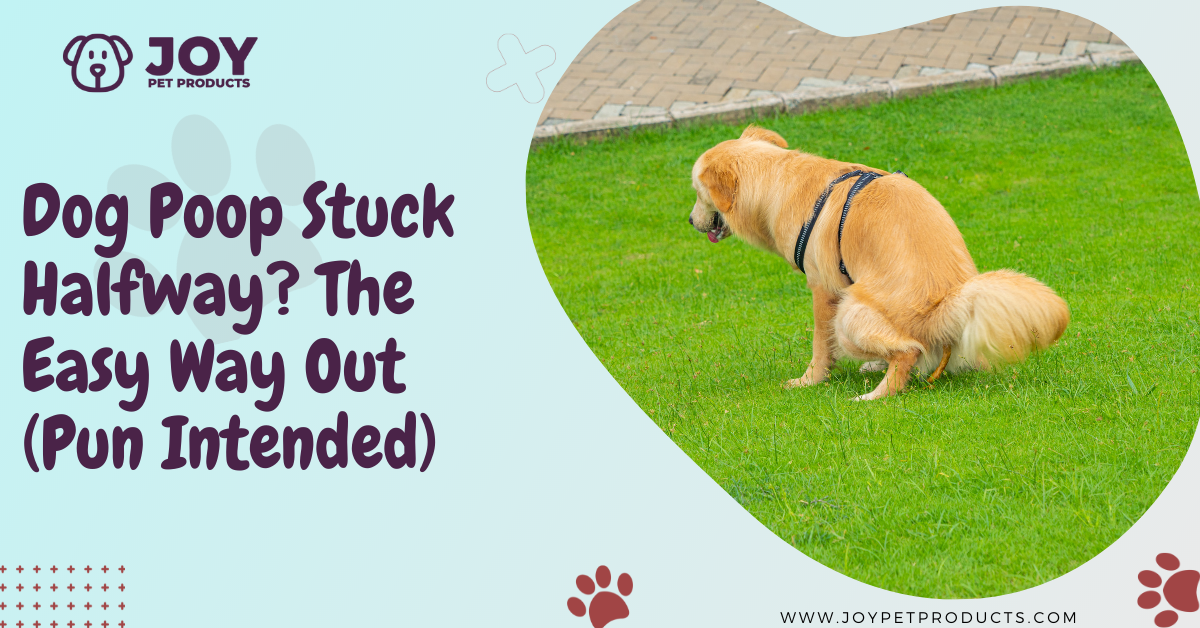 dog poop stuck halfway
