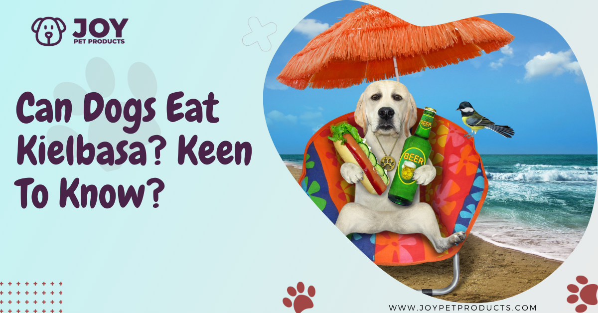 can dogs eat kielbasa