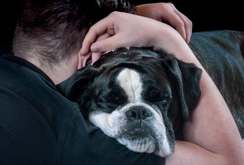 Man hugging black and white bulldog
