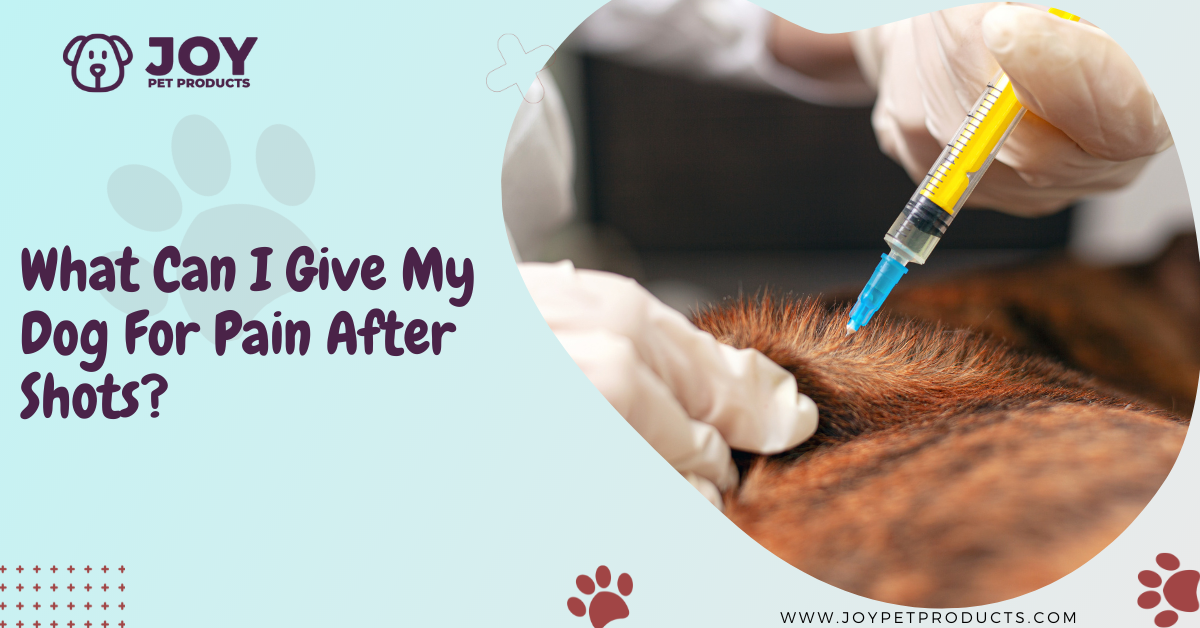 what can i give my dog for pain after shots