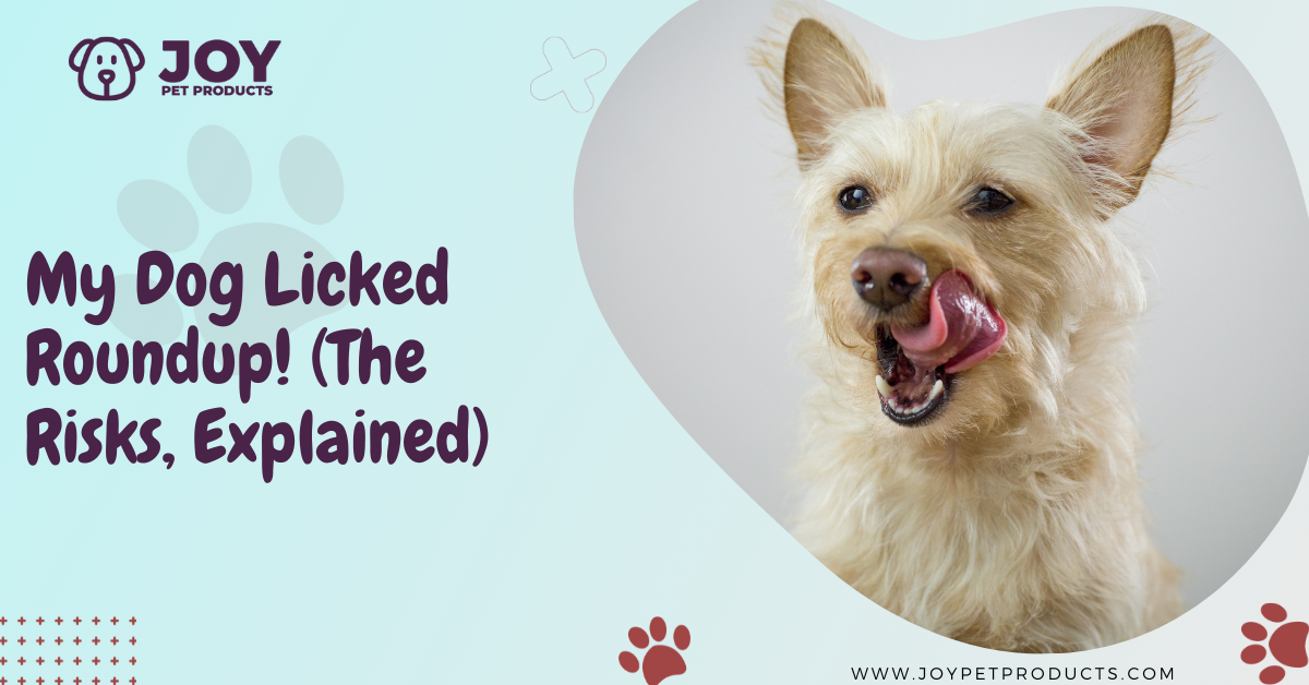 my dog licked roundup