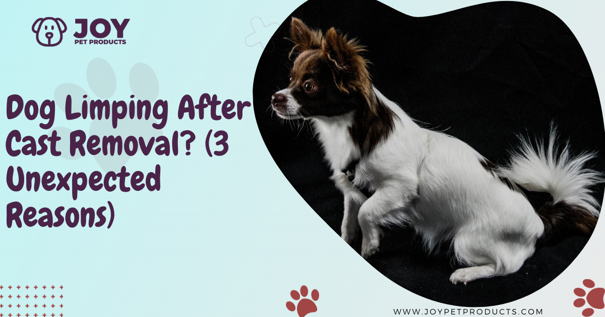 why is my dog limping after cast removal