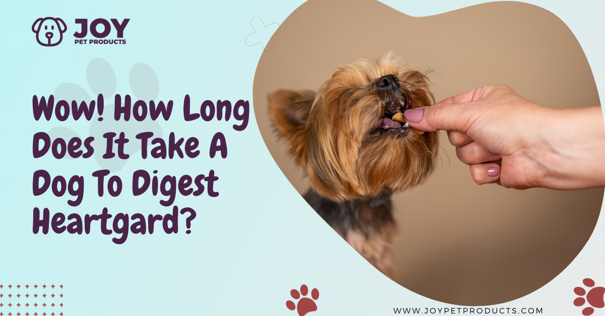 how long does it take a dog to digest heartgard