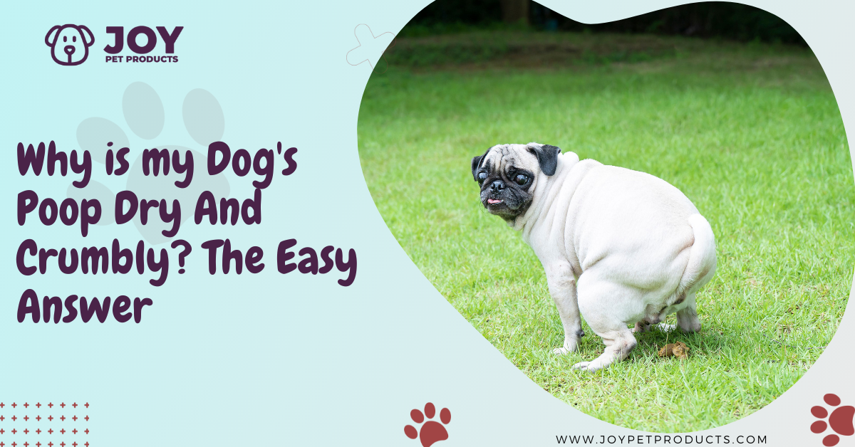why is my dogs poop dry and crumbly