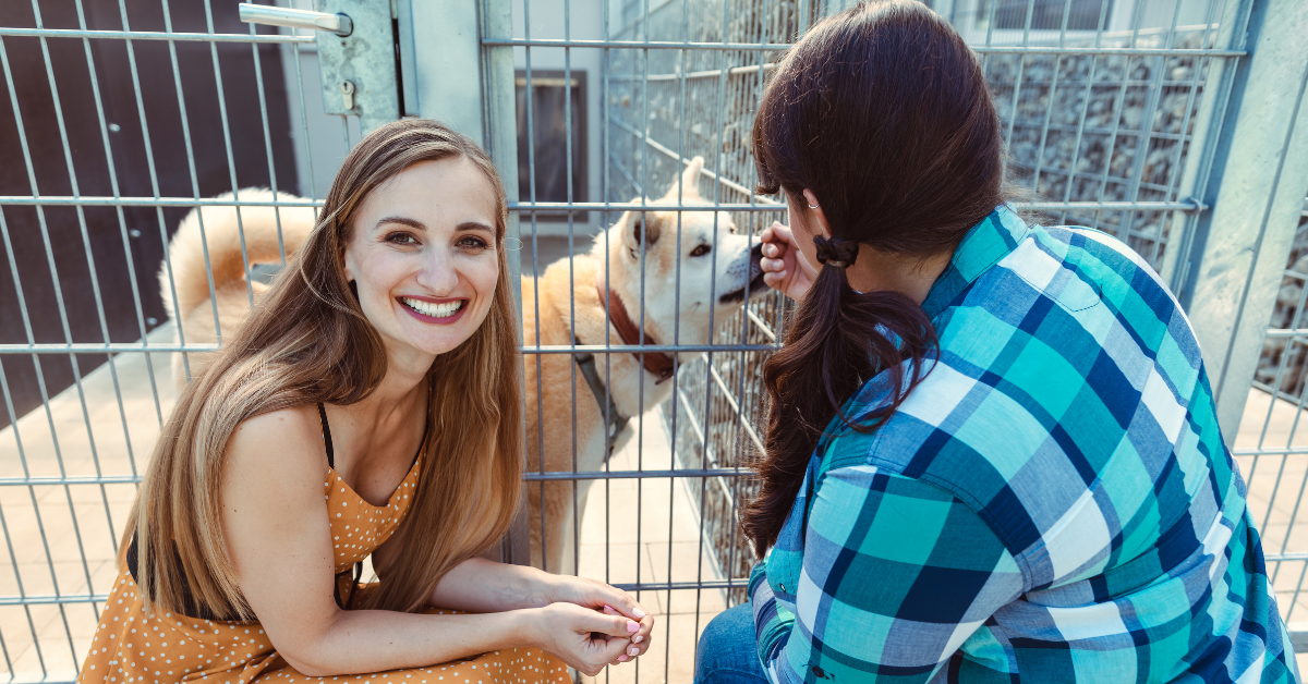 Adopted Dogs