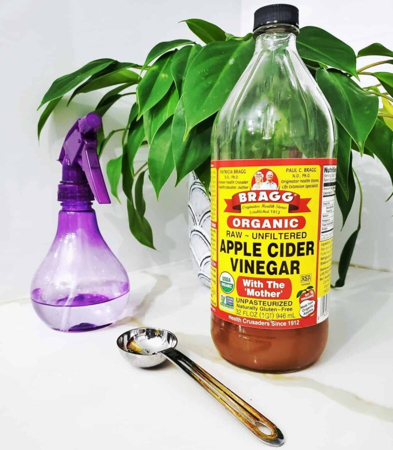 Apple cider vinegar