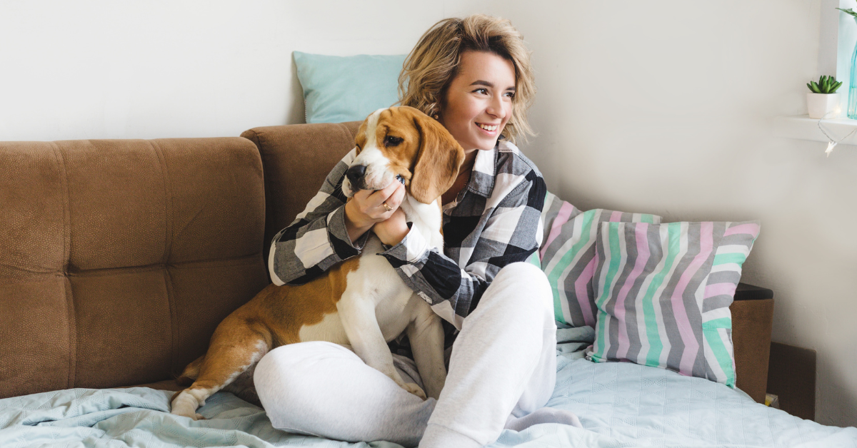 Spend Quality Time With the Dog