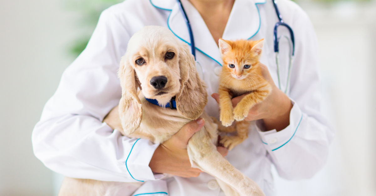 When To Call Your Vet