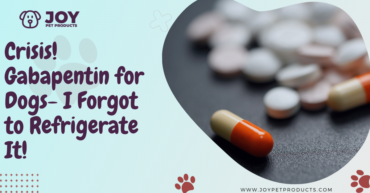 gabapentin for dogs refrigerate