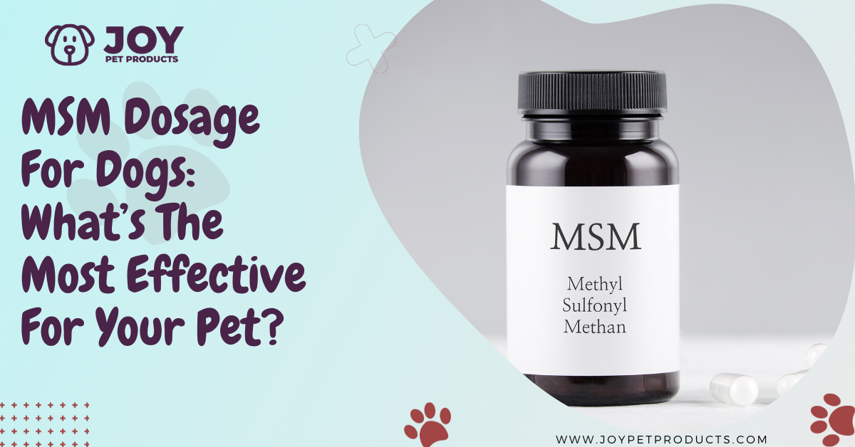 msm dosage for dogs