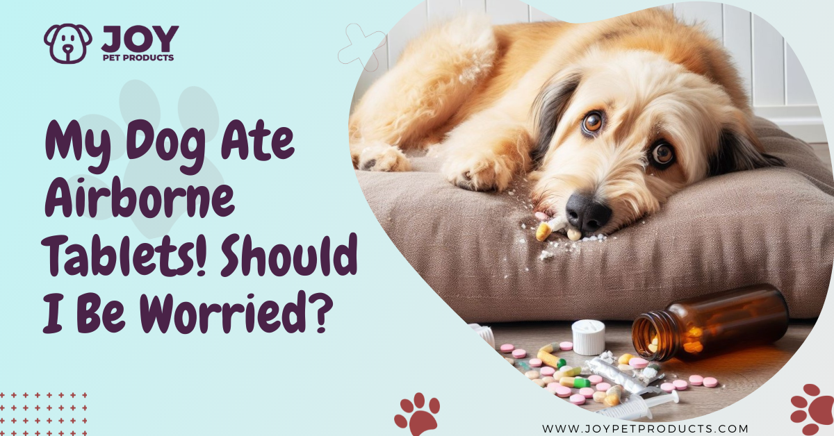 my dog ate airborne tablets
