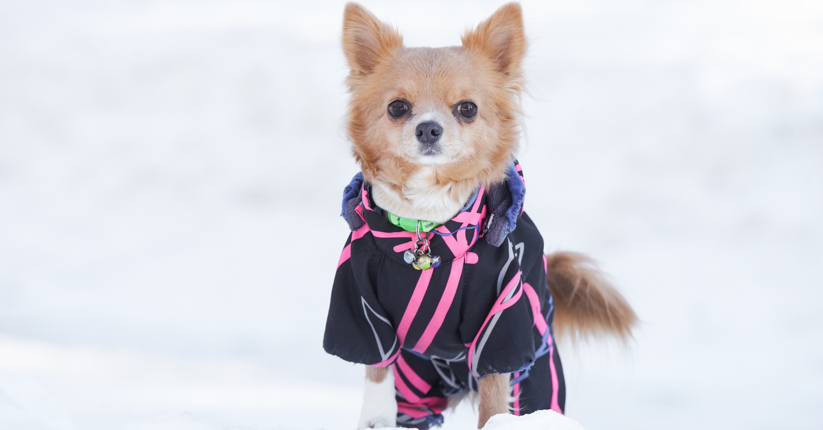 Cold Weather