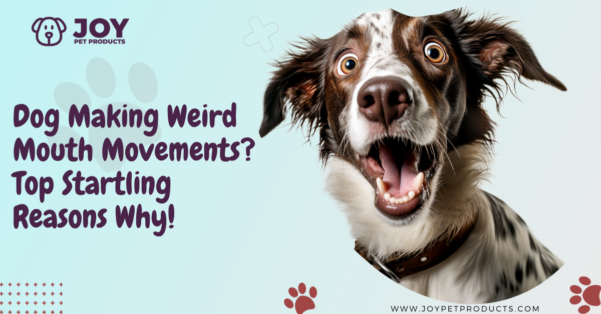 dog making weird mouth movements