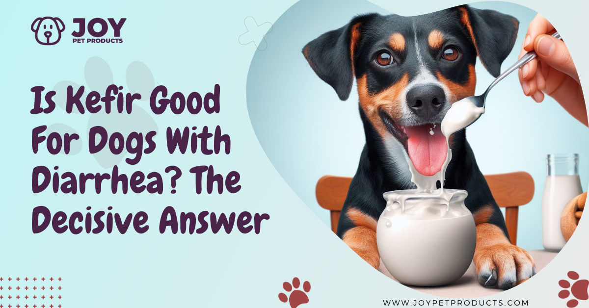 is kefir good for dogs with diarrhea