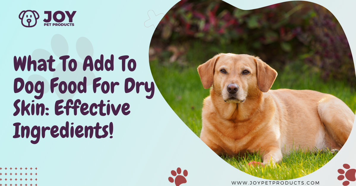 what to add to dog food for dry skin