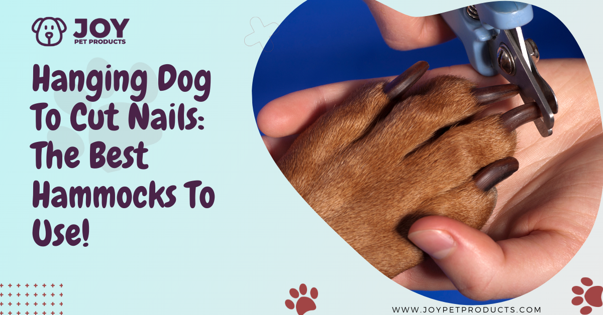 hanging dog to cut nails