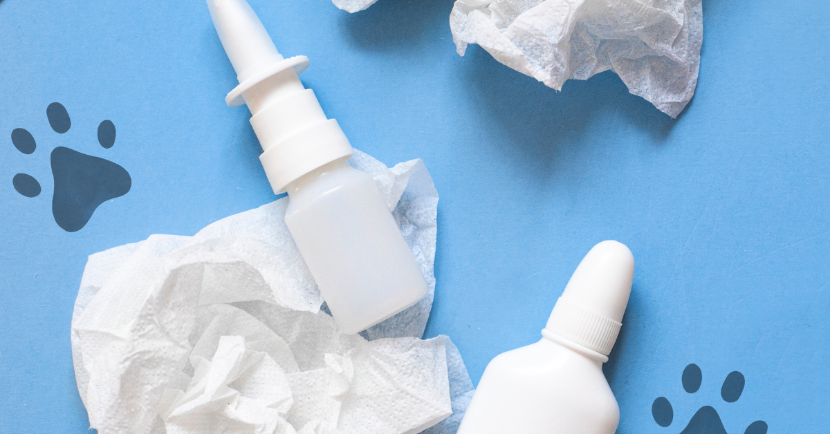 HomeoPet ‘Leaks No More’ Drops