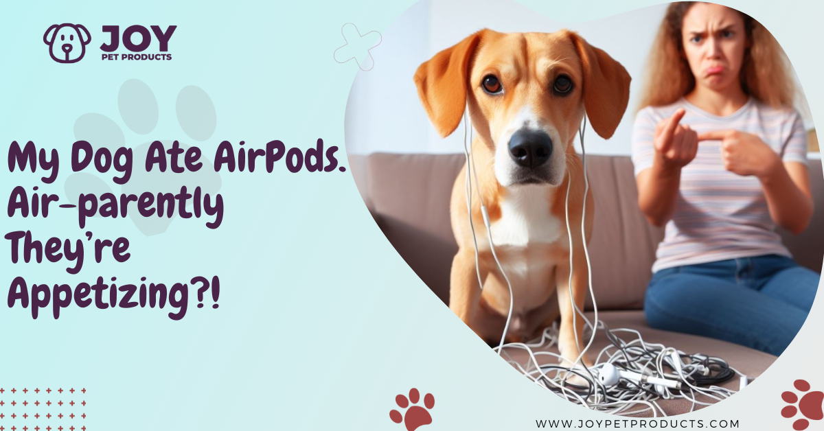 My Dog Ate True Wireless Earbuds: What Should I Do？