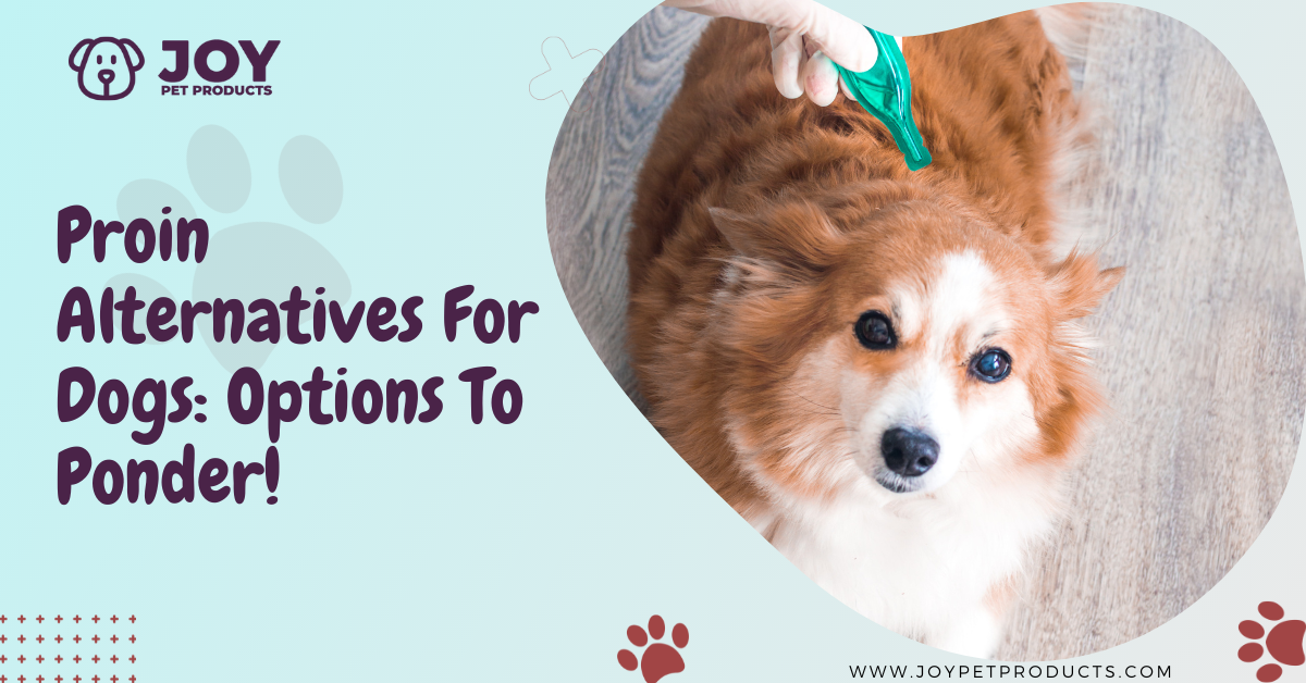 proin alternatives for dogs