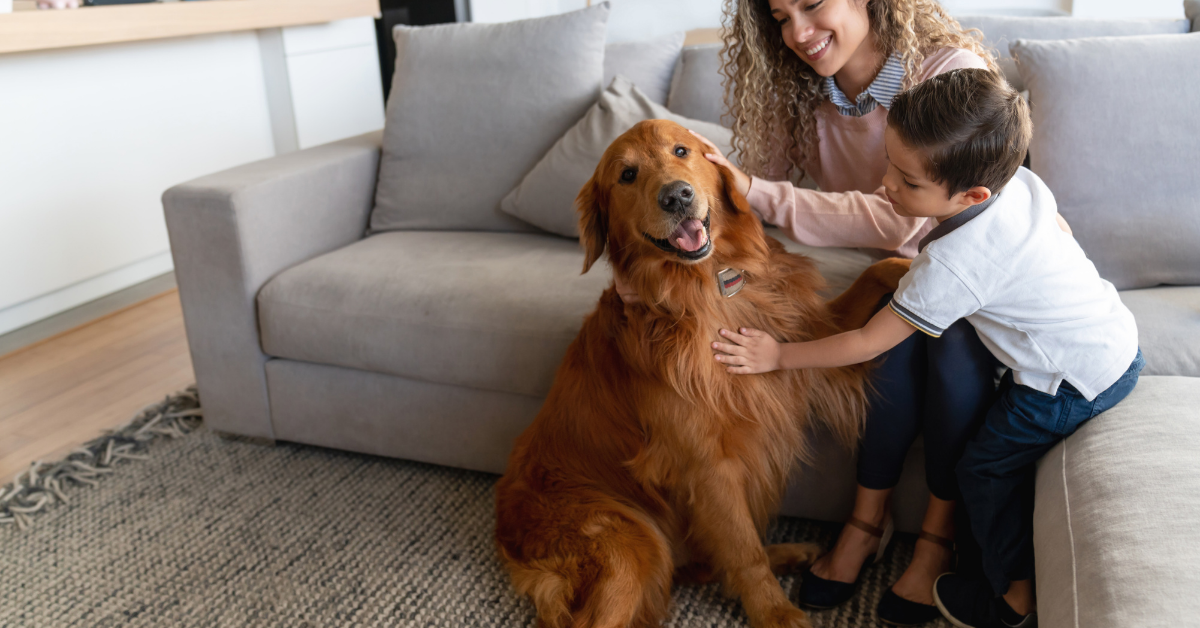 Happiness & Excitement