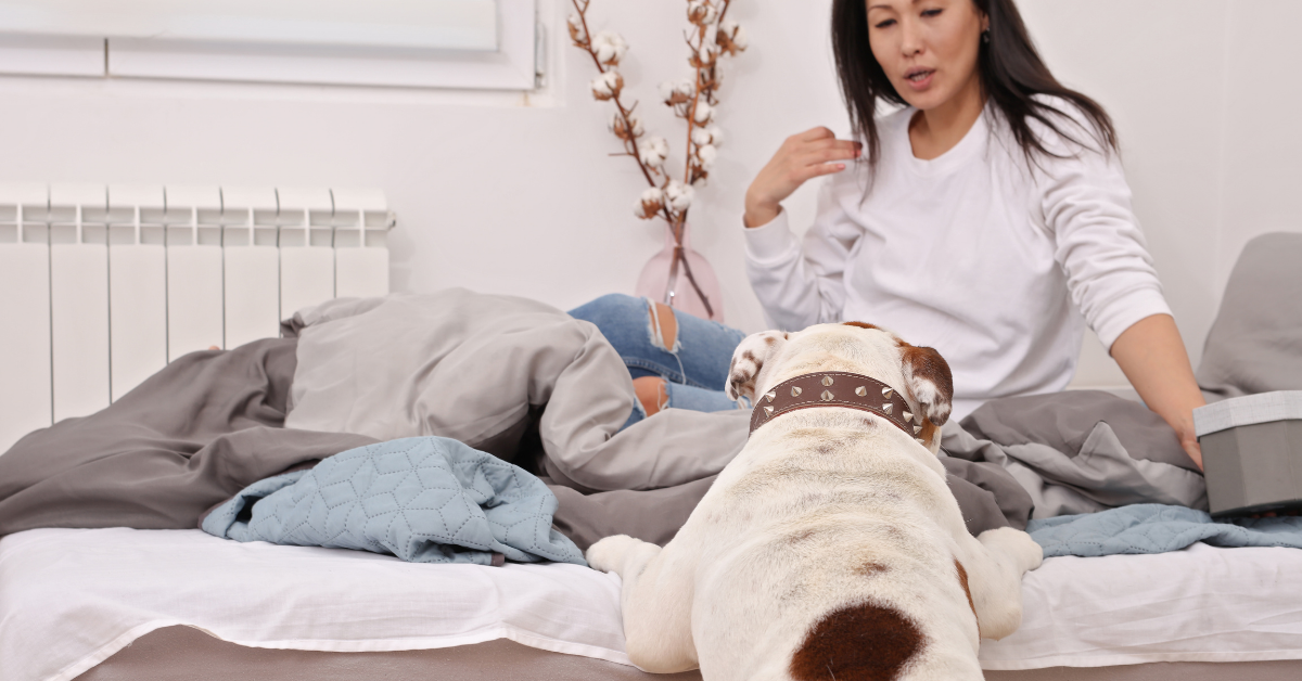 How Long Should You Be Upset With Your Dog