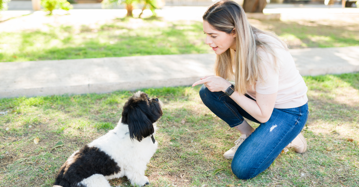 How You Shouldn’t React To Misbehavior