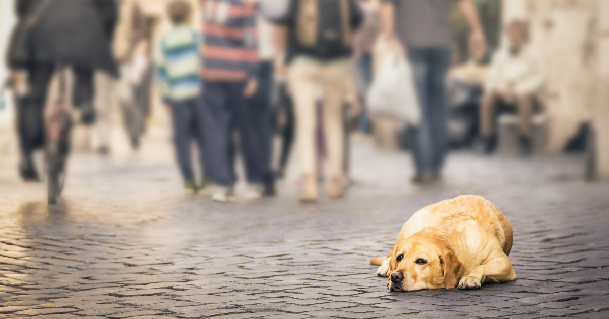 Unfairness Inequality