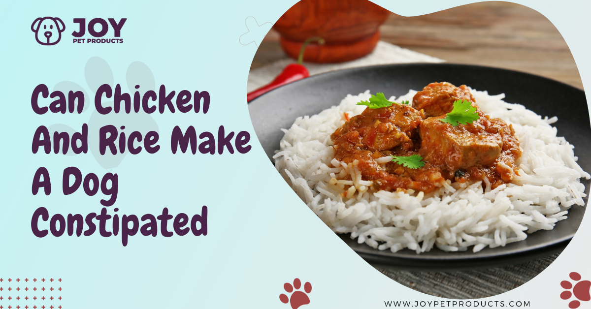 can chicken and rice make a dog constipated