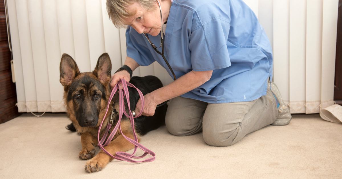 Monitor For Intestinal Blockage