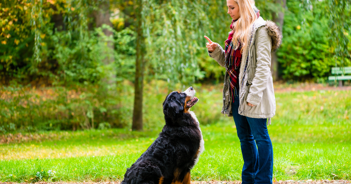 Preventative Measures