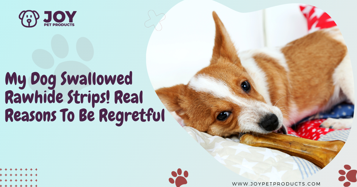 dog swallowed rawhide strip