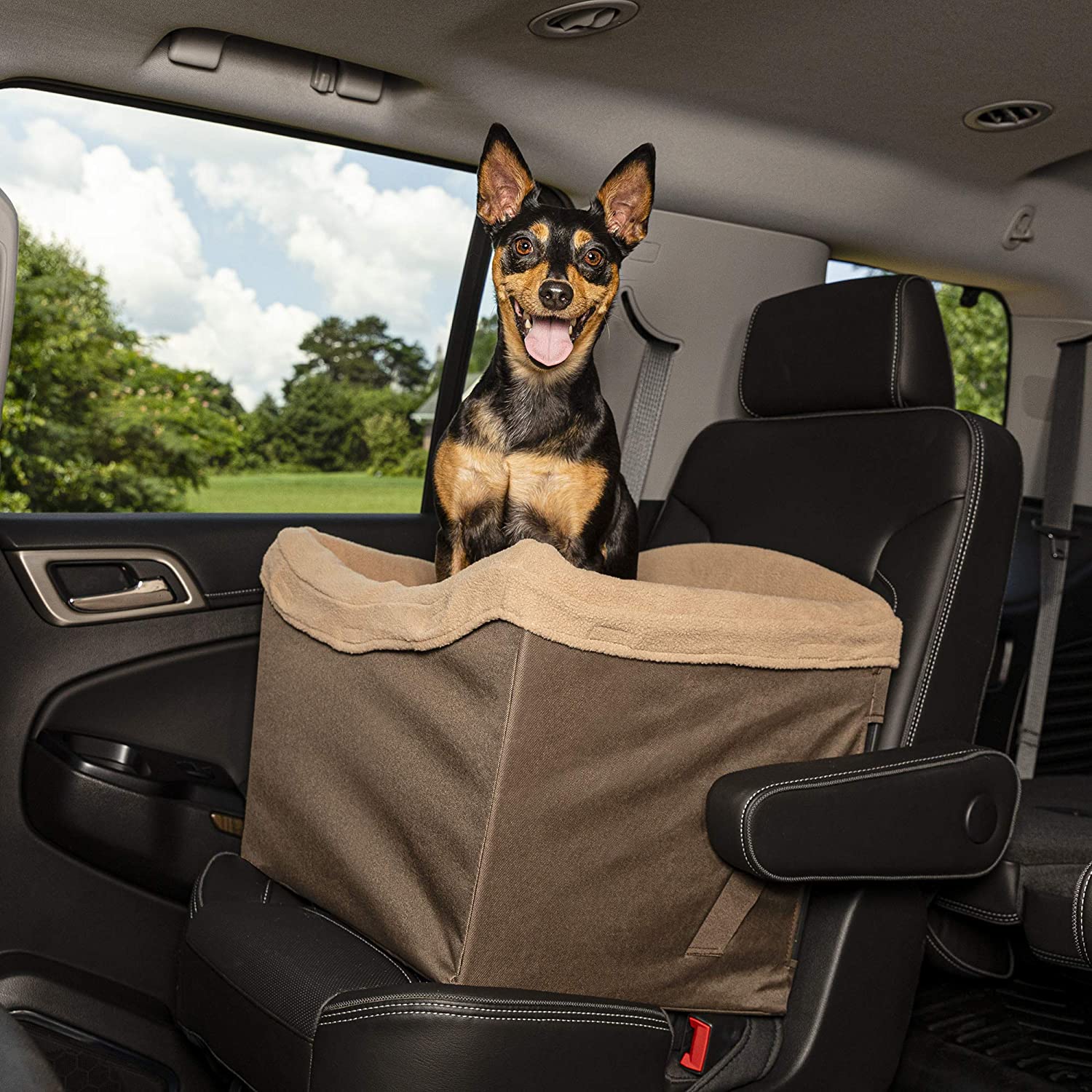 PetSafe Happy Ride Jumbo Booster Seat.