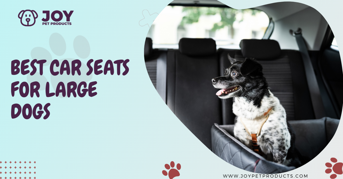 best car seats for large dogs
