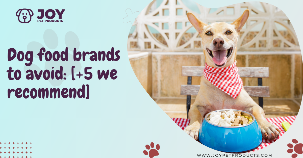 dog food brands to avoid