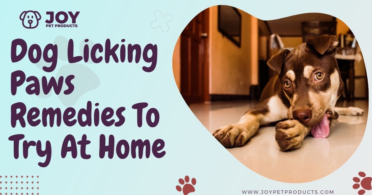 home remedies to stop dog from chewing paws