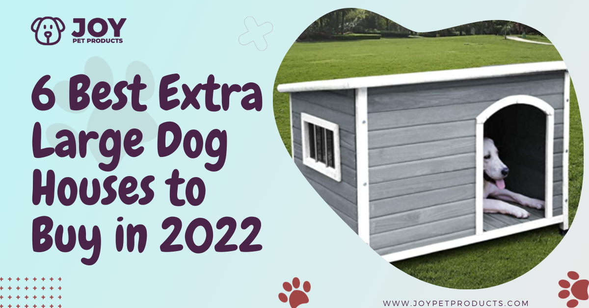 Best Extra Large Dog House