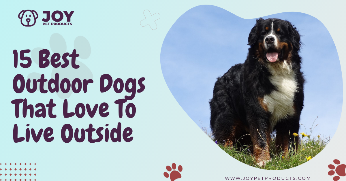 what types of dogs can live outside