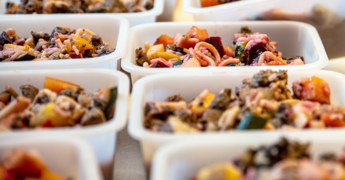 Nutritional Homemade Dog Food Recipes