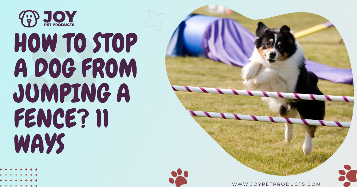how to stop dog from jumping fence