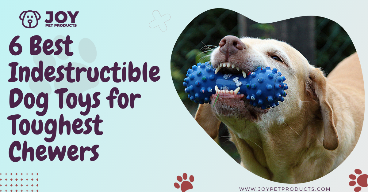 8 Best Indestructible Dog Toys For Tough Dogs (1000+ Tested) - Dog Lab