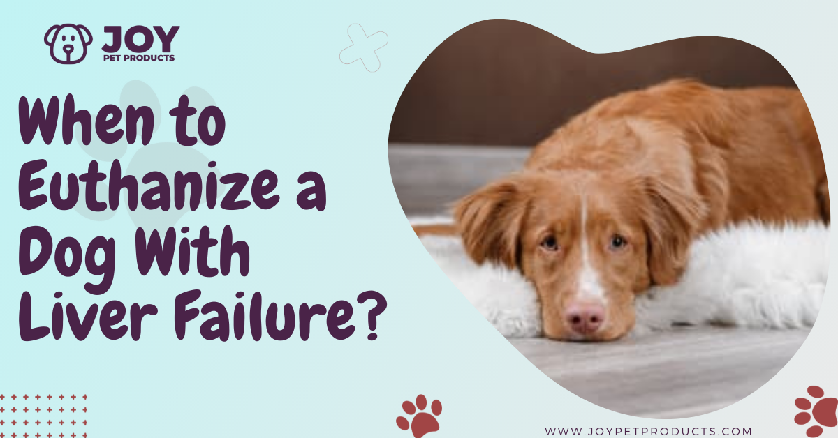 when to euthanize a dog with liver failure