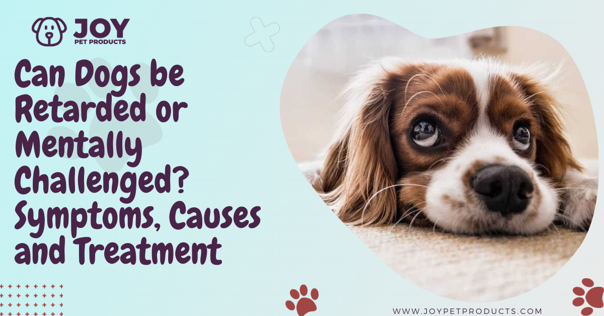 Can Dogs Be Retarded Or Mentally Challenged? Symptoms, Causes And Treatment