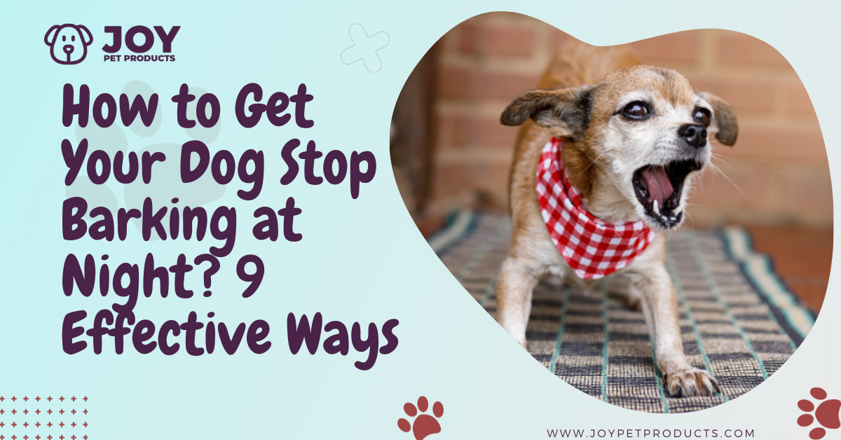 how to get your dog to stop barking at night