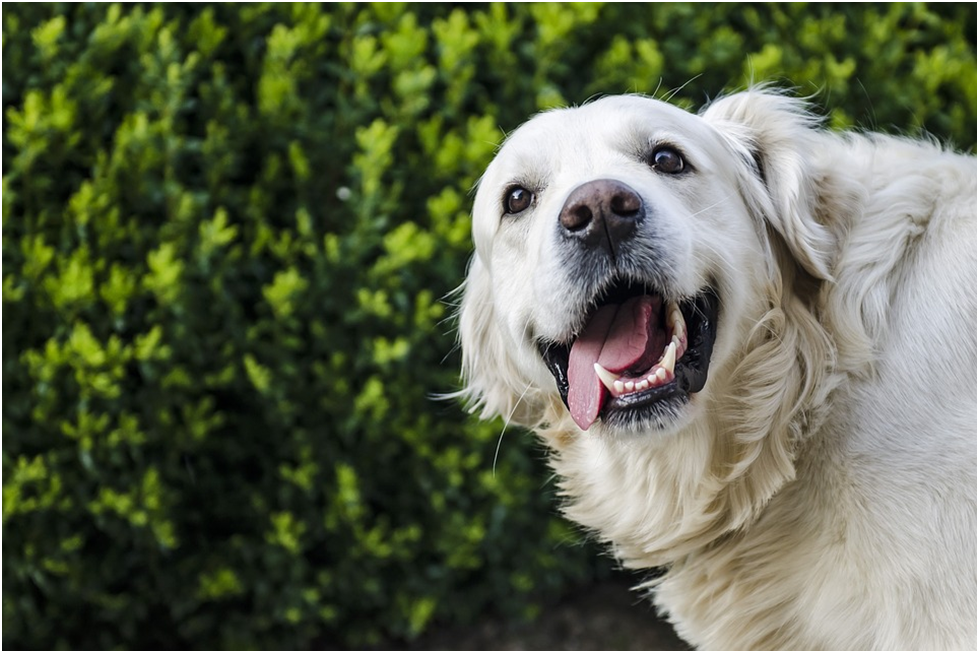 Avoid Dental Problems