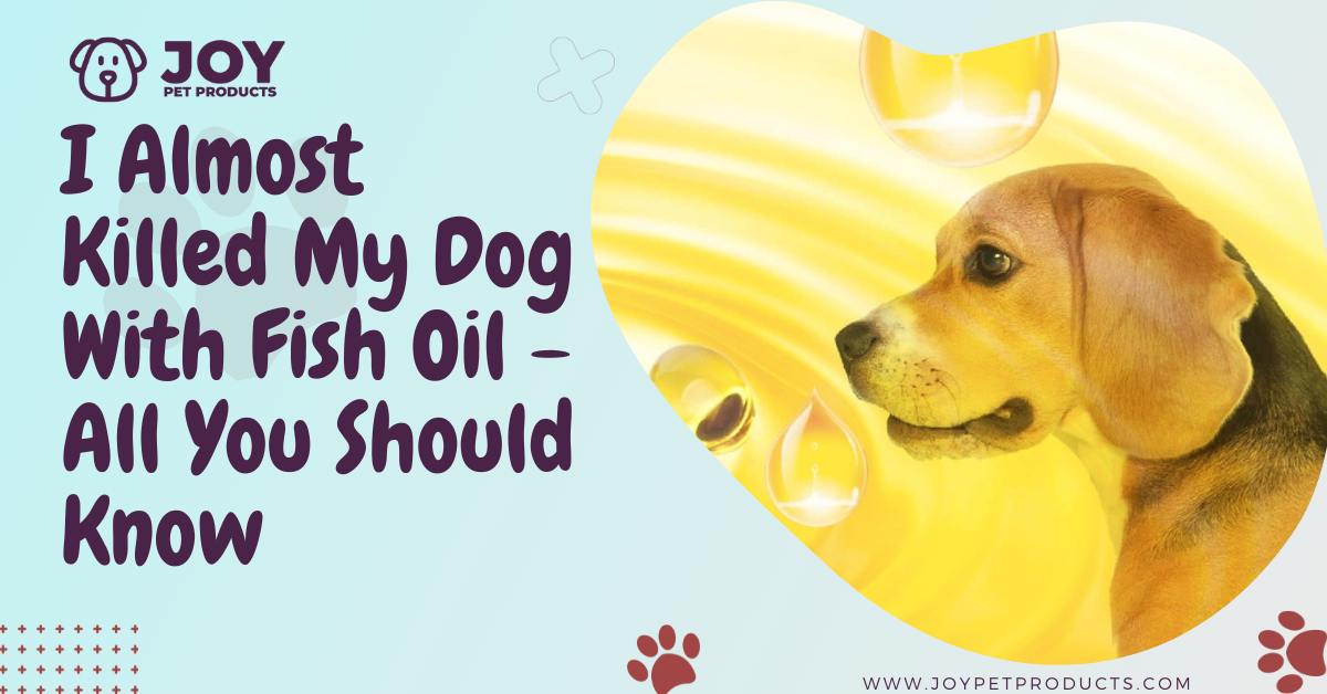 can fish oil kill dogs